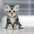 PrincessJellyBean1516