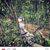 Collincampbell_123