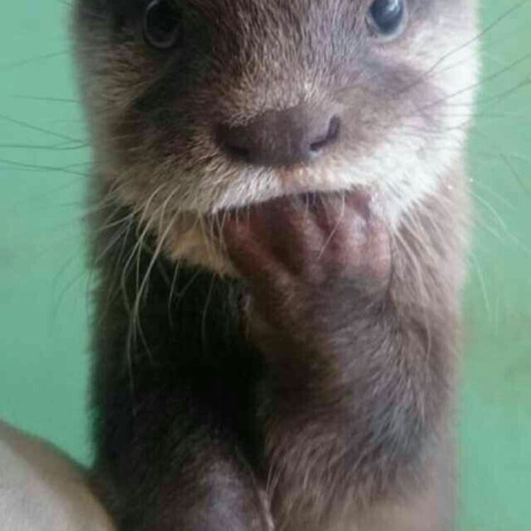 Foto de perfil de rrmcrr