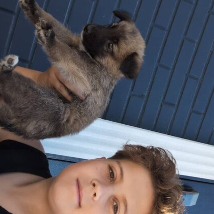 Foto de perfil de Vova