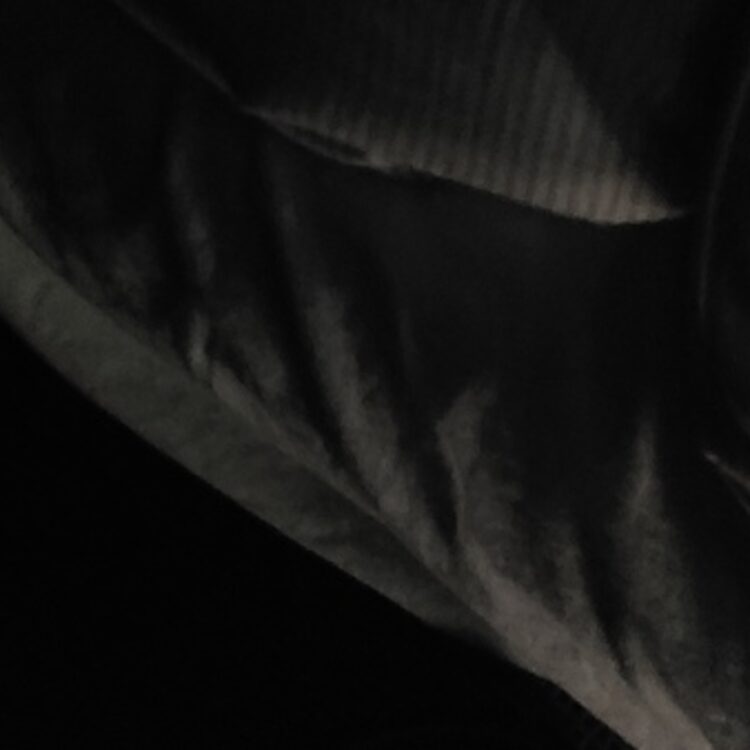 Foto de perfil de Luke