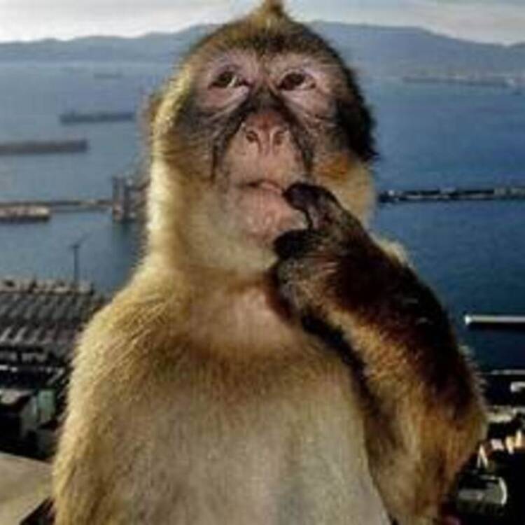 Foto de perfil de skr!