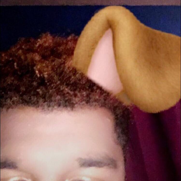Foto de perfil de Jamal