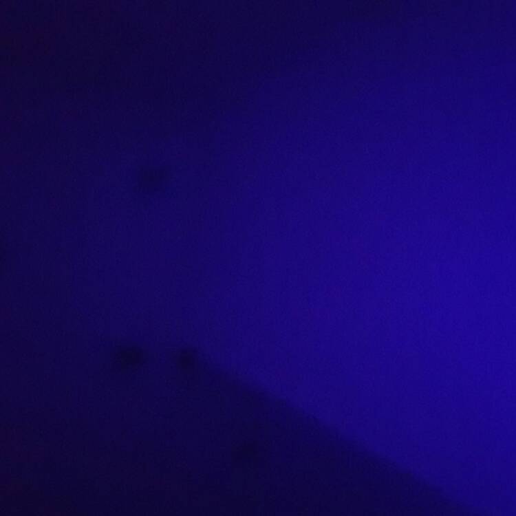 Foto de perfil de Jonas