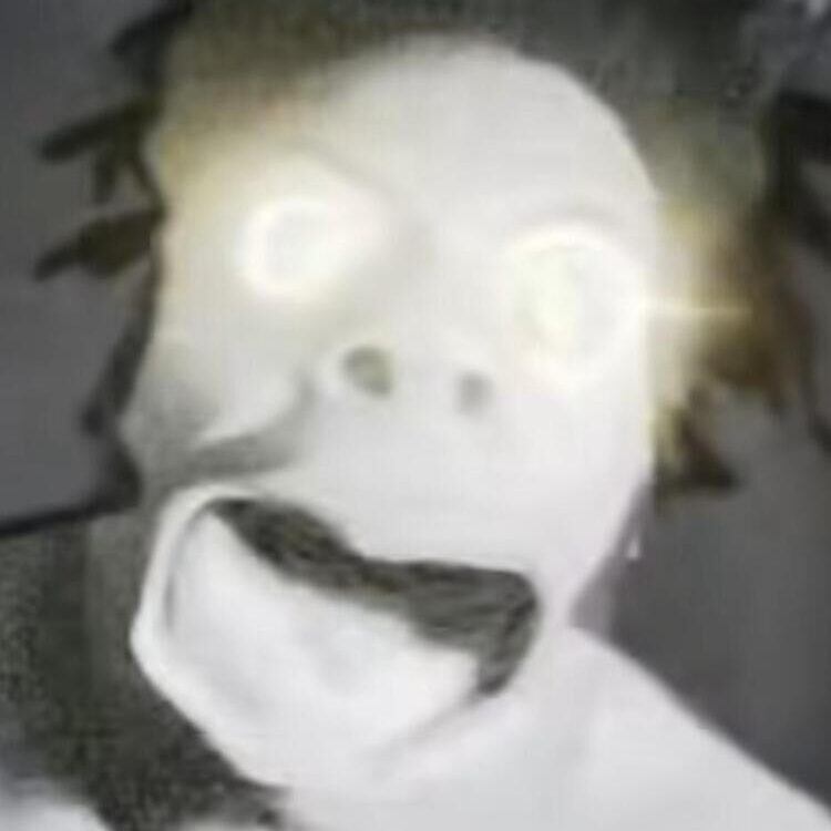 Foto de perfil de Sam