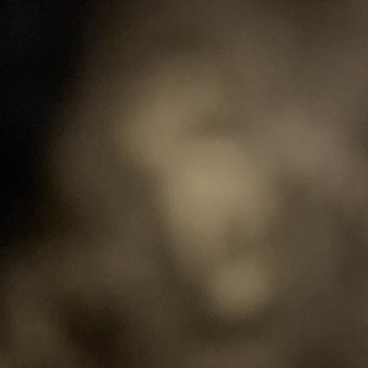 Foto de perfil de Bit