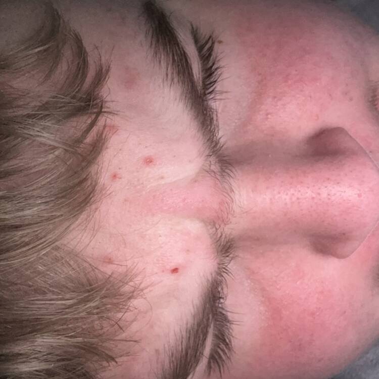 Foto de perfil de Seth