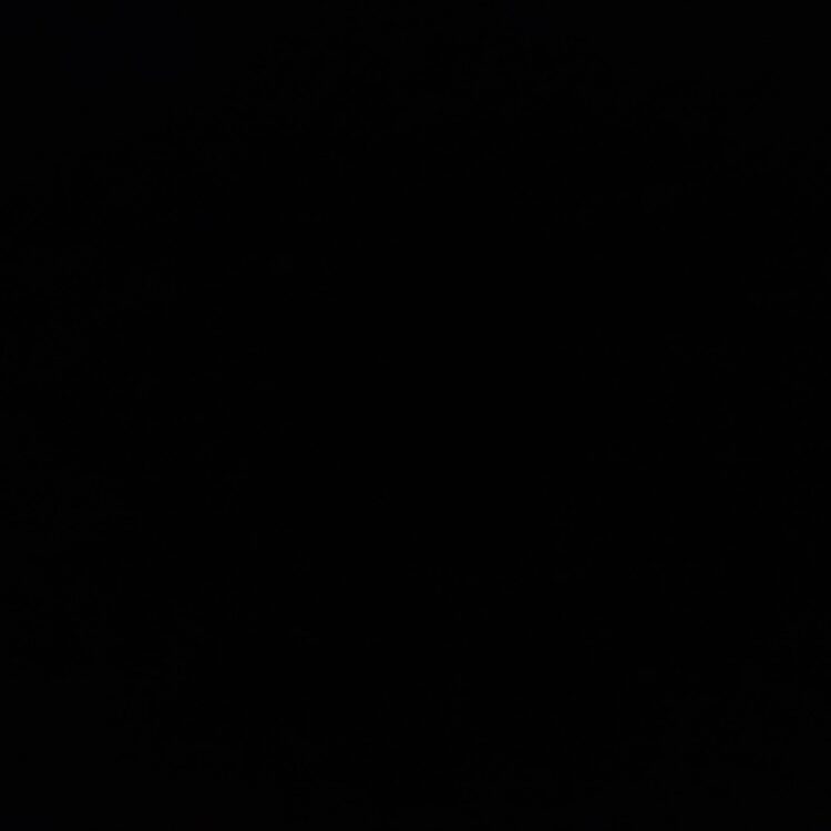 Foto de perfil de Hung