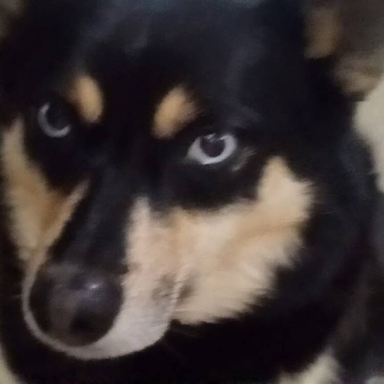 Foto de perfil de Rick