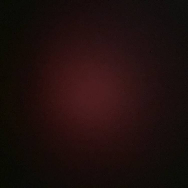 Foto de perfil de dave