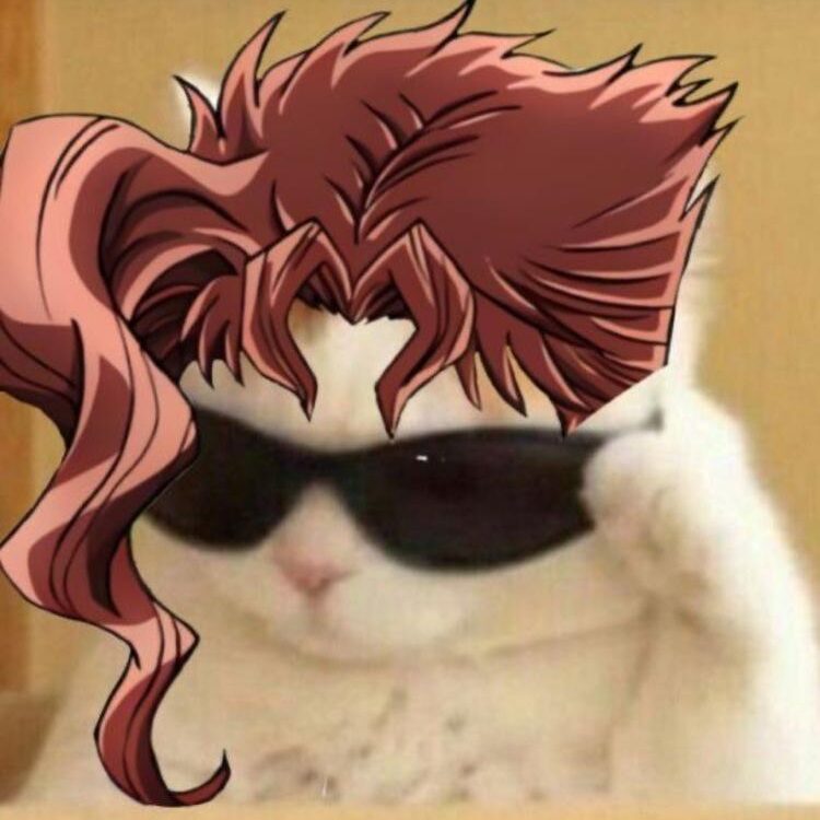 Foto de perfil de Meow_meow