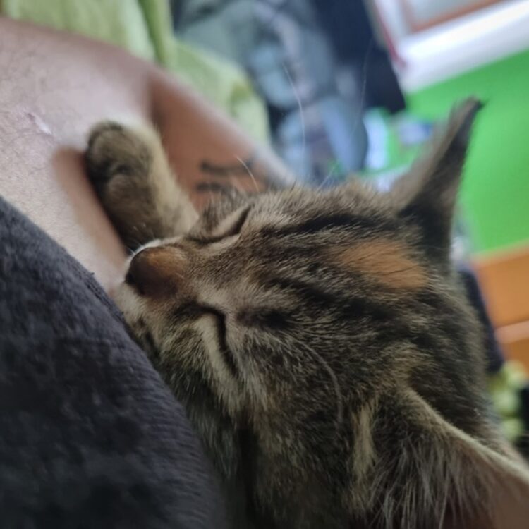 Foto de perfil de Ema