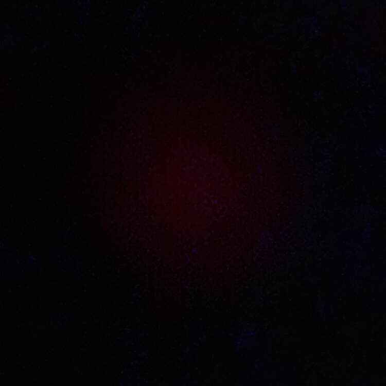 Foto de perfil de Dom