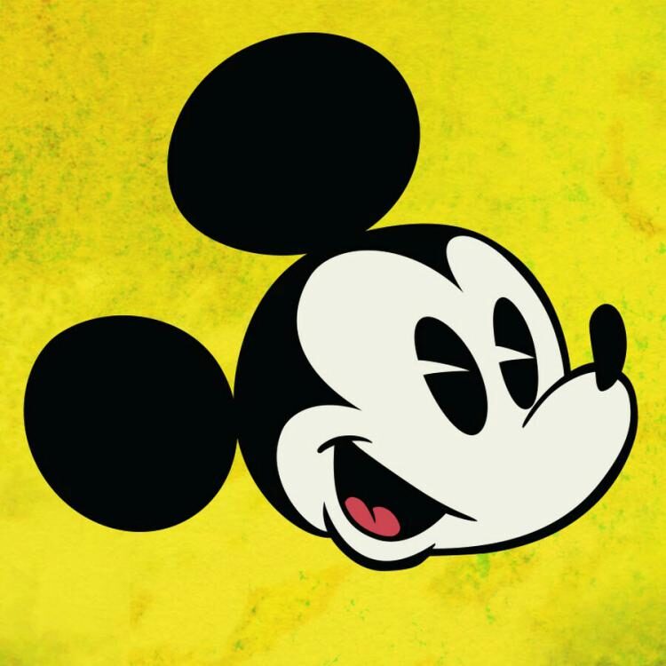 Foto de perfil de Mickey Baeza
