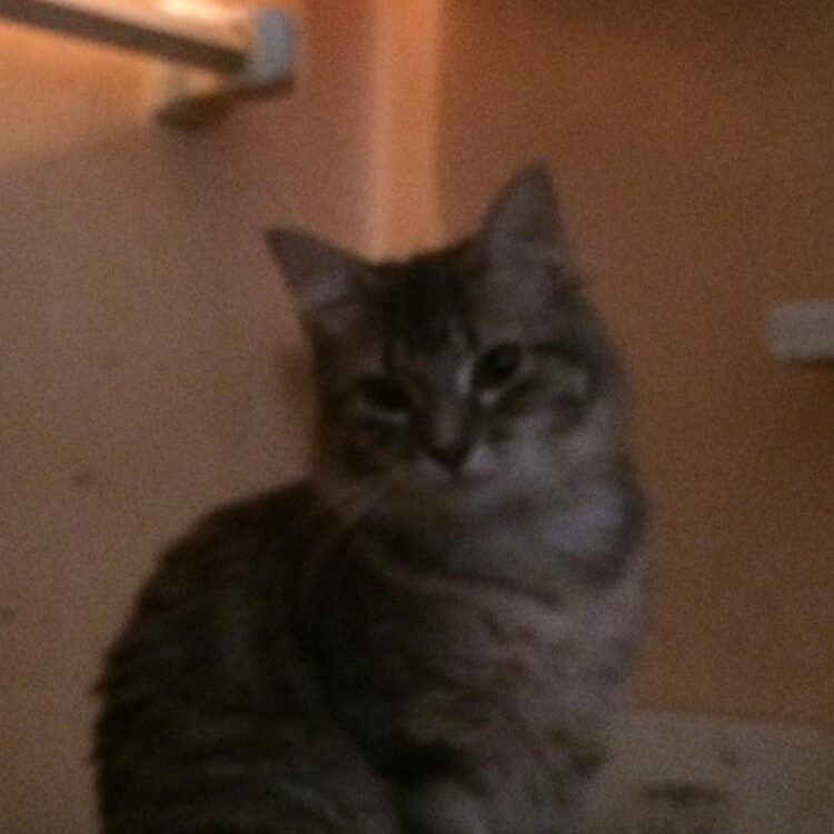 Foto de perfil de Bi&Proud