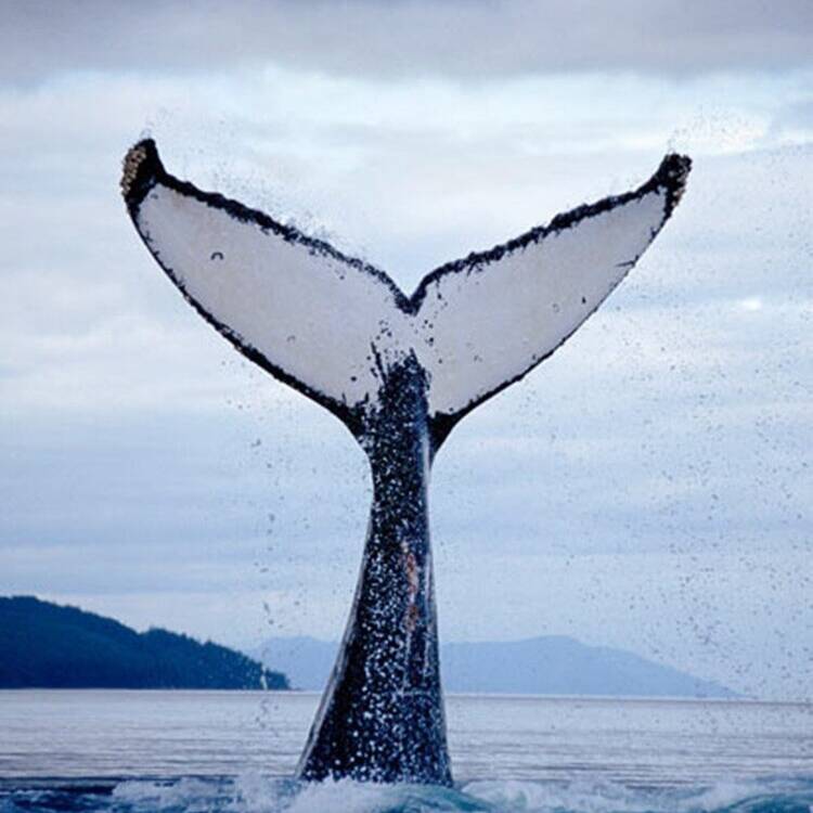 Foto de perfil de Ann