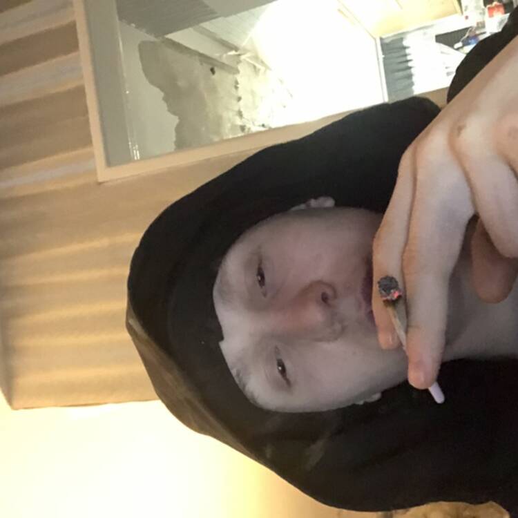 Foto de perfil de Logan
