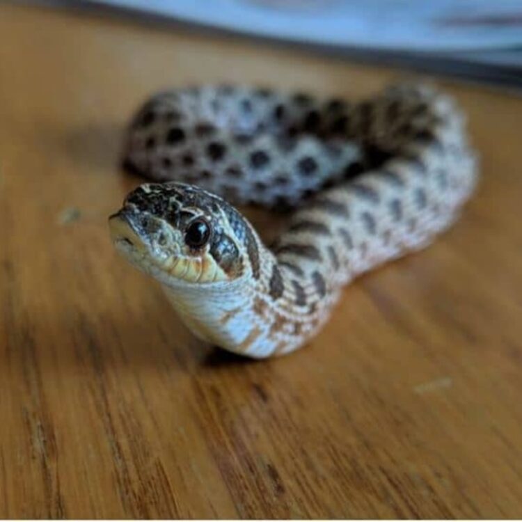 Foto de perfil de .