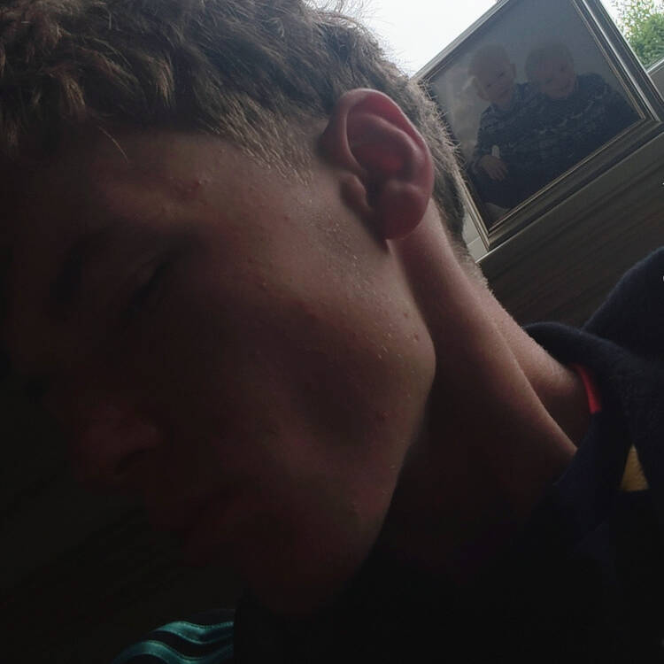 Profile