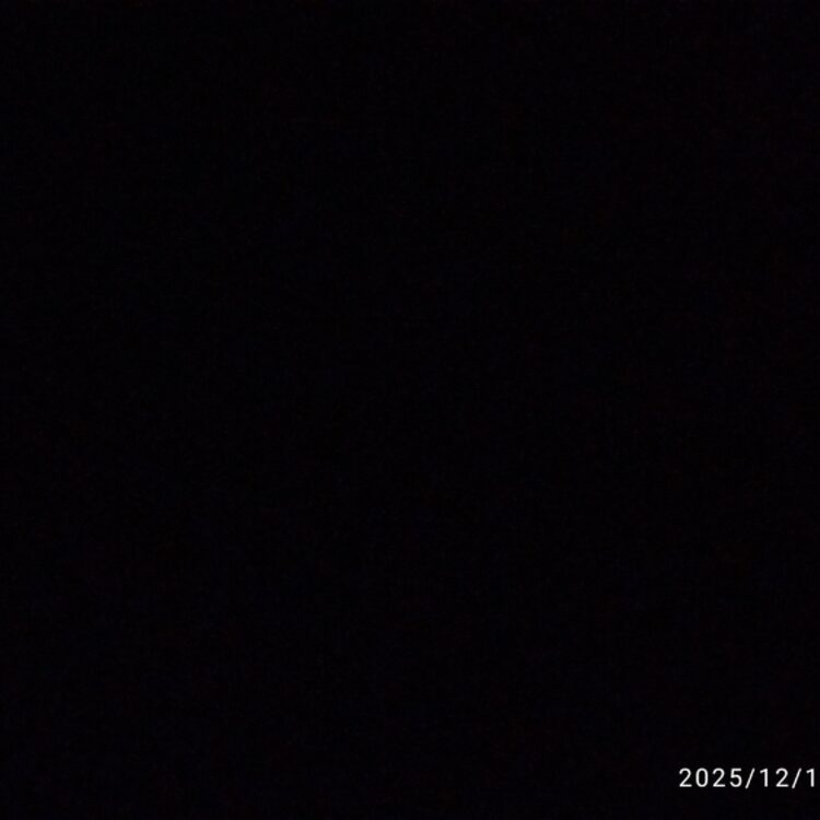 Foto de perfil de Lia