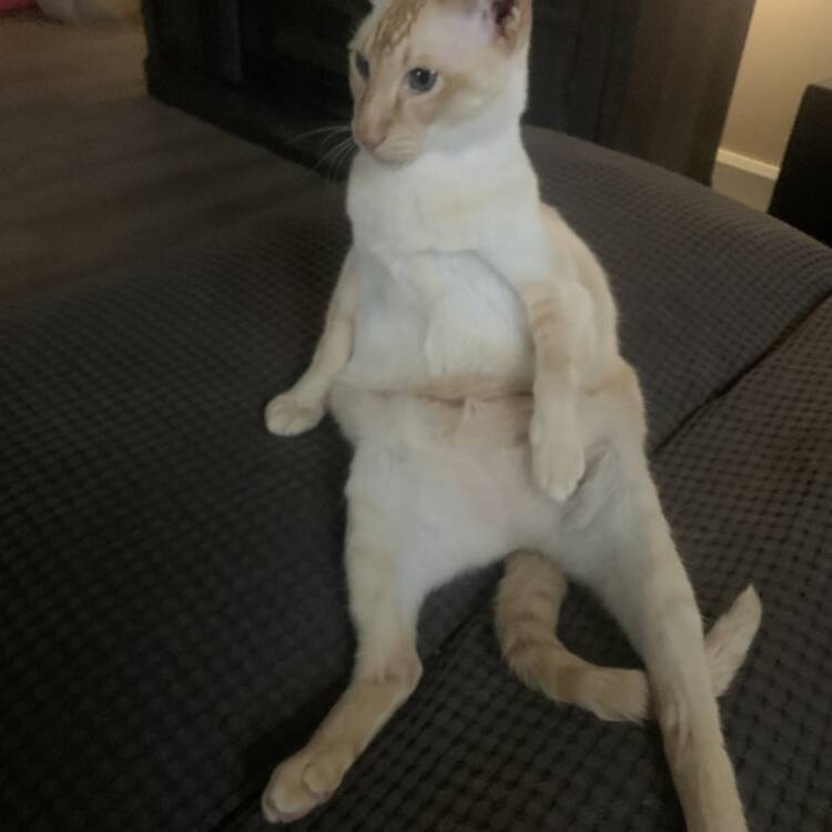 Foto de perfil de Enzo Bailon