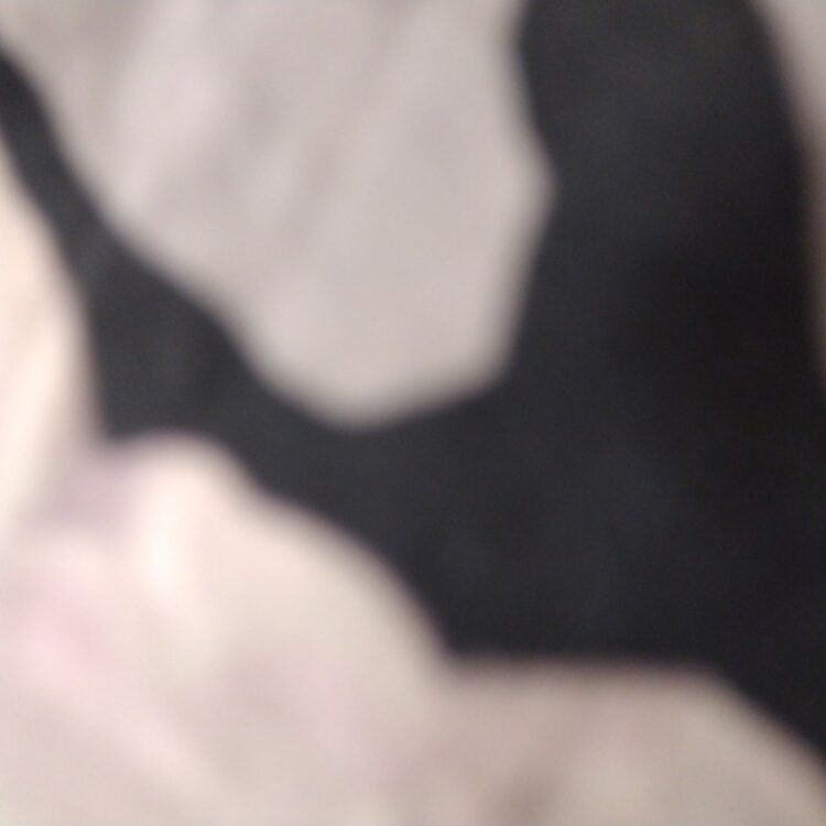 Foto de perfil de Alex