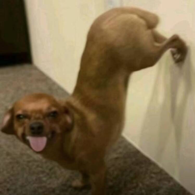 Foto de perfil de j
