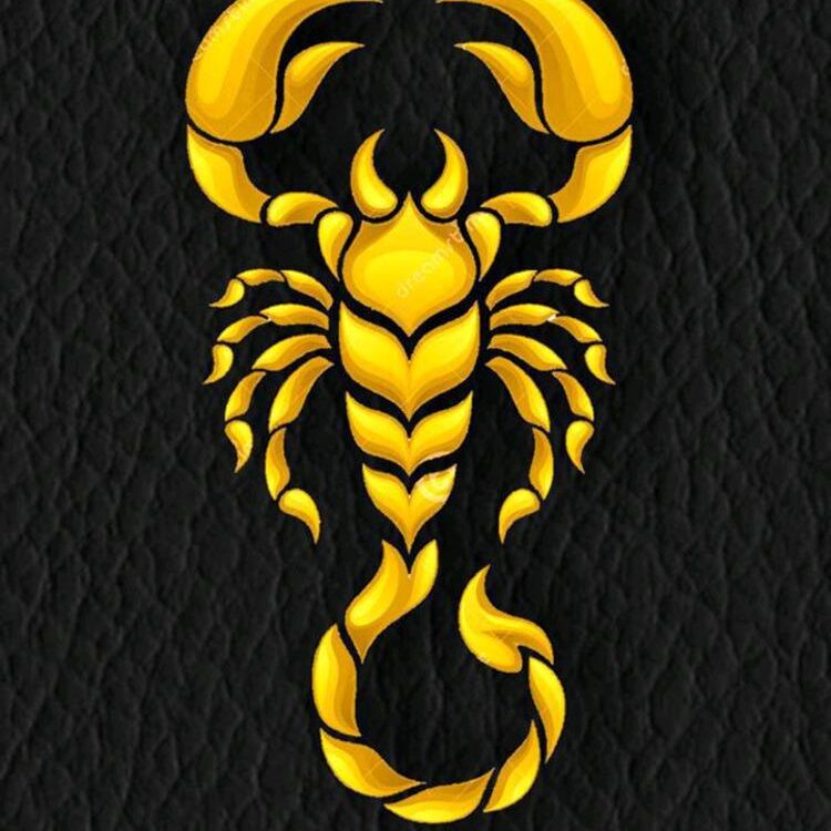 Foto de perfil de Bazel Wood