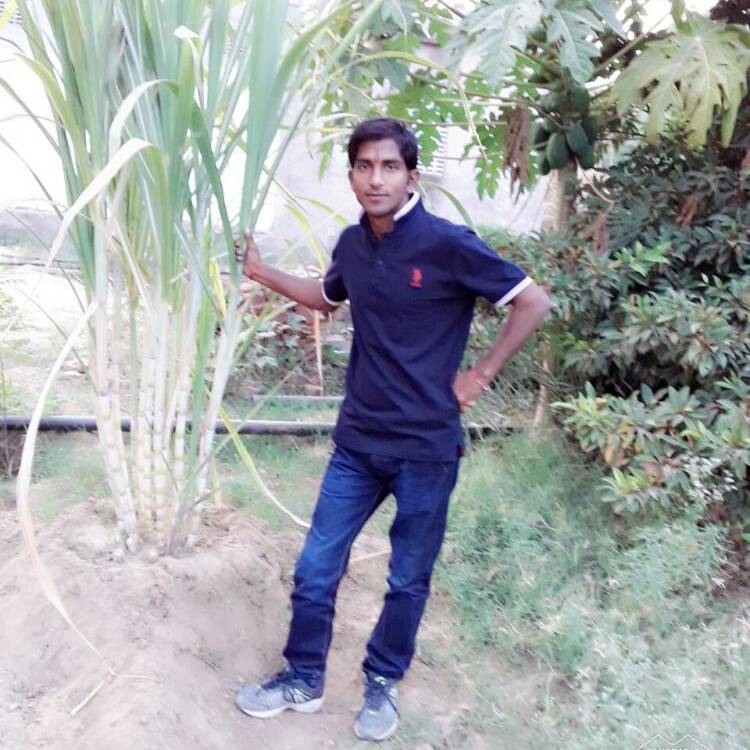 Foto de perfil de Virendra Sharma