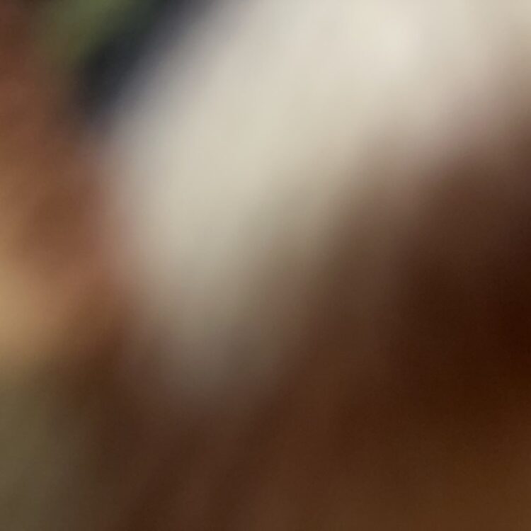 Foto de perfil de Isaac