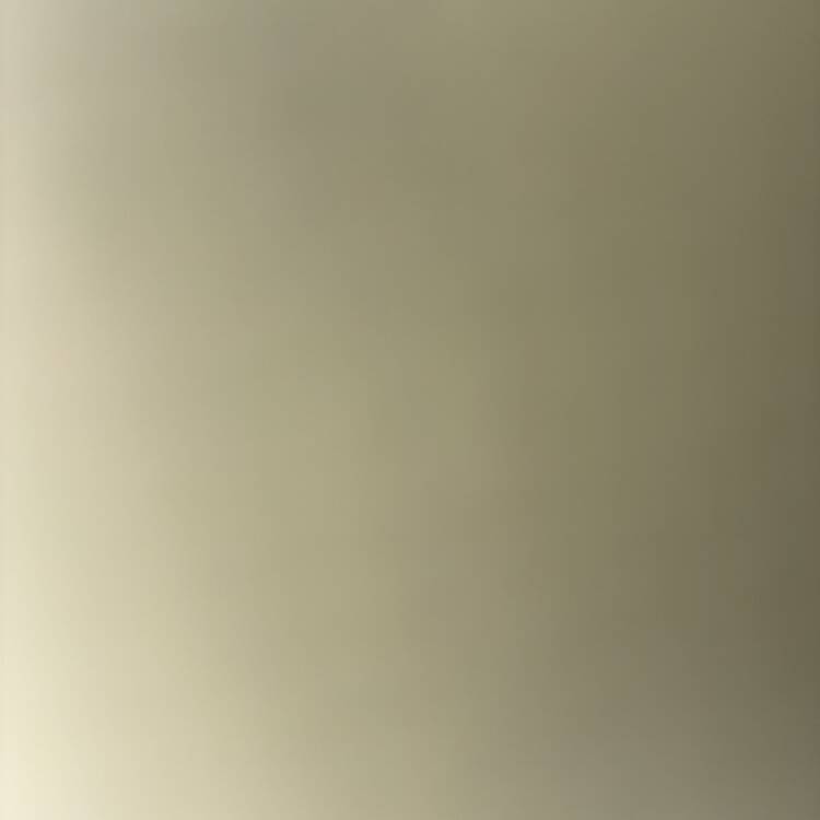 Foto de perfil de Jackson
