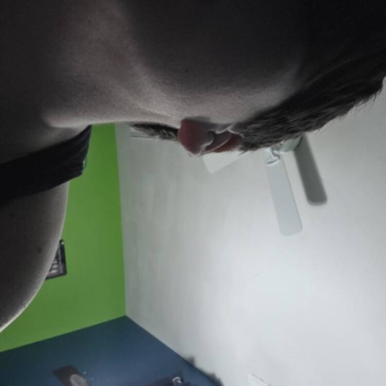 Foto de perfil de Josh