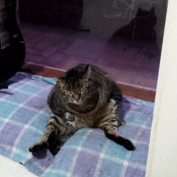 Foto de perfil de David
