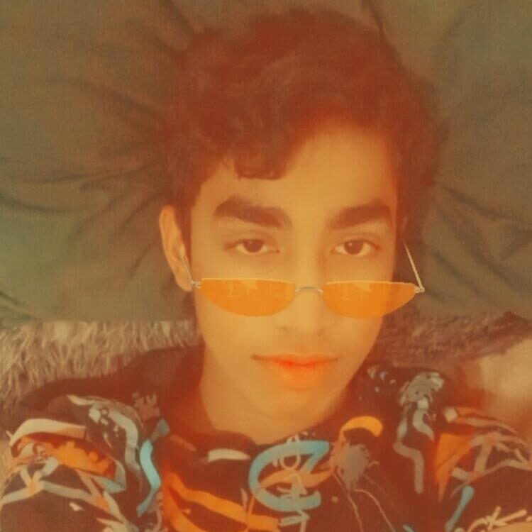 Foto de perfil de Amaan