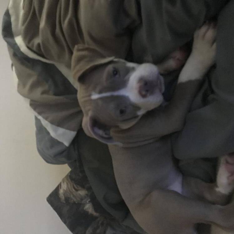 Foto de perfil de Kameron
