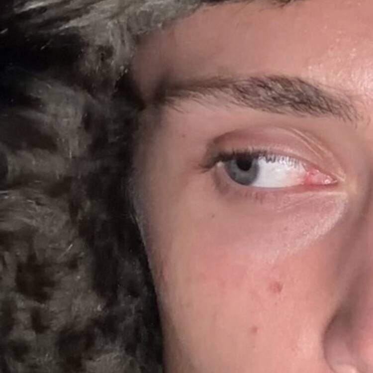 Foto de perfil de N