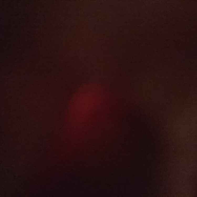 Foto de perfil de KantNL1