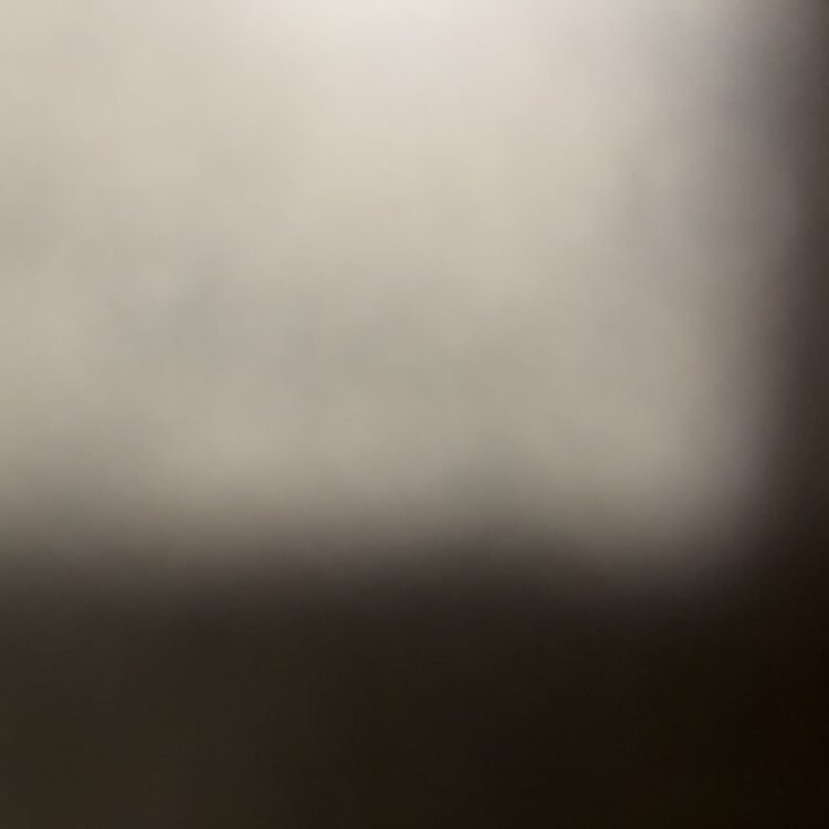 Foto de perfil de Daniel