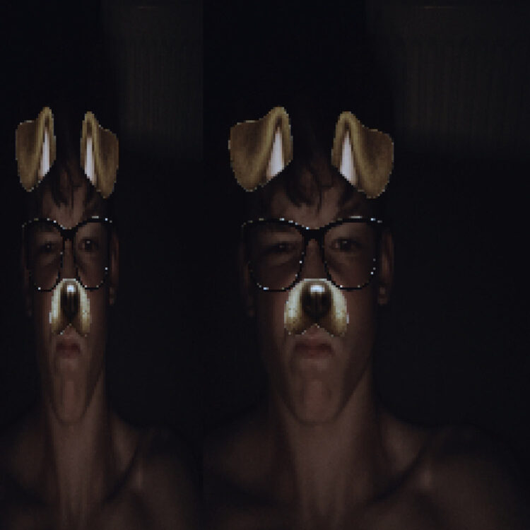 Foto de perfil de Finley