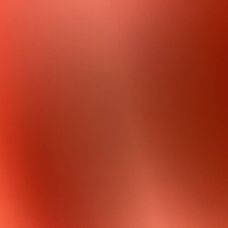 Foto de perfil de Thom