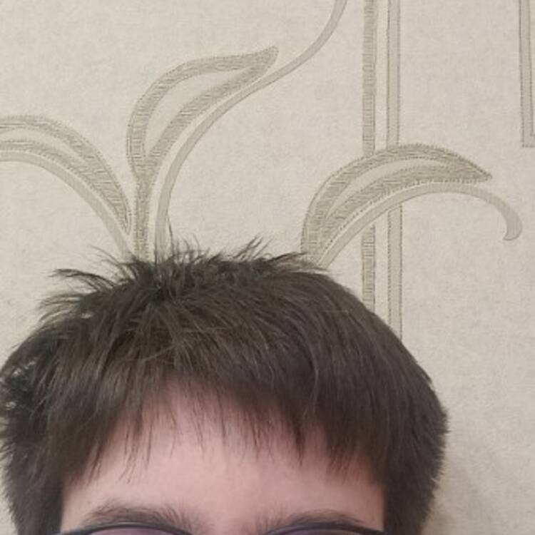 Foto de perfil de Admin