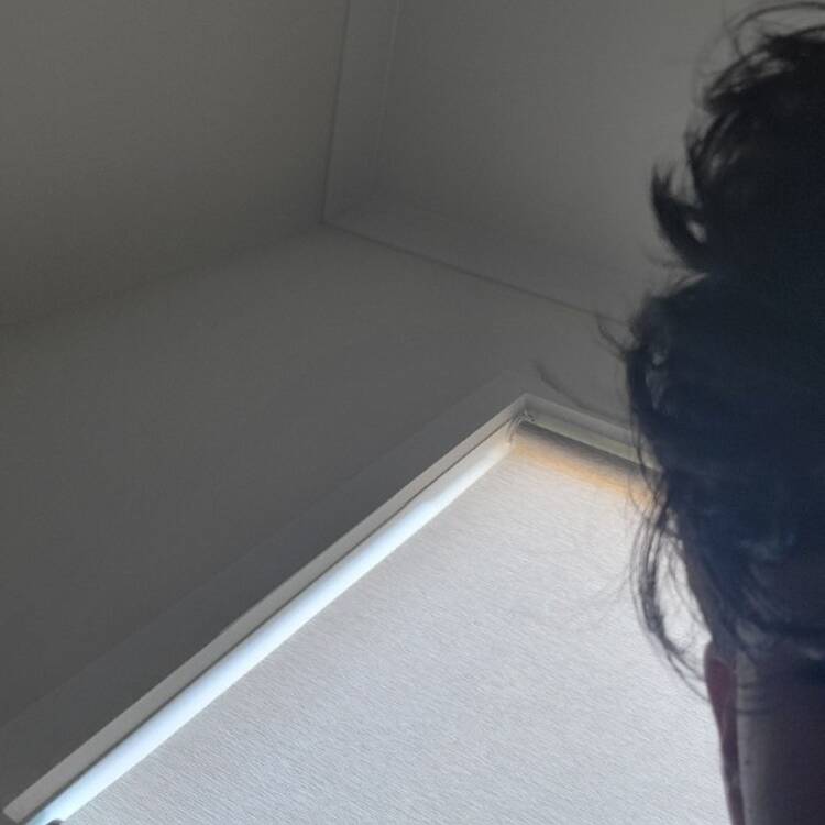 Foto de perfil de Wernid