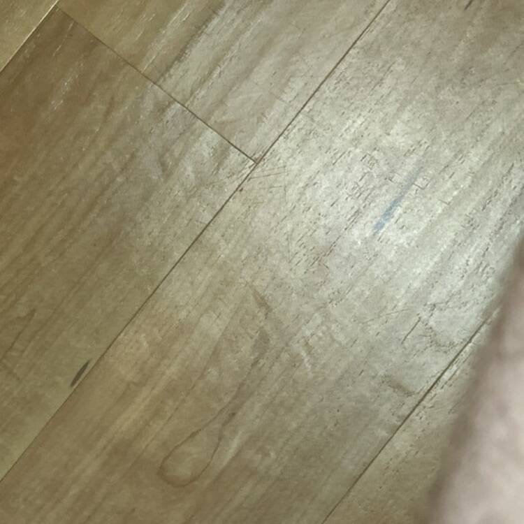 Foto de perfil de T