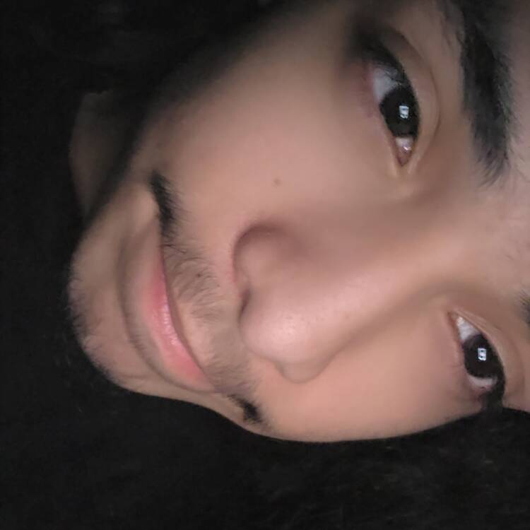 Foto de perfil de Tomy
