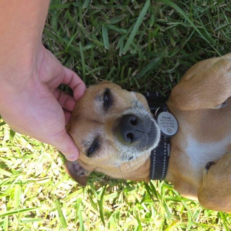 Foto de perfil de Bob