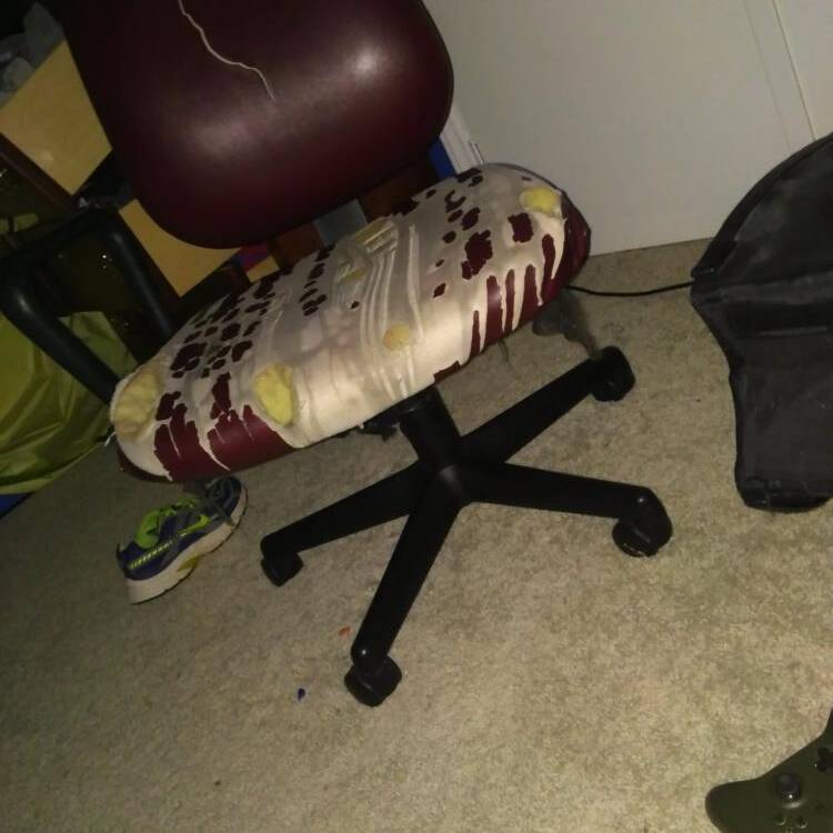Foto de perfil de Kaleb