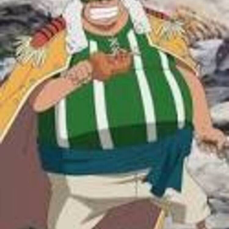 One Piece fan