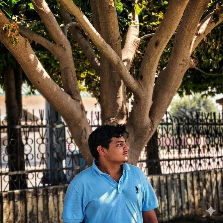 Foto de perfil de Aarav