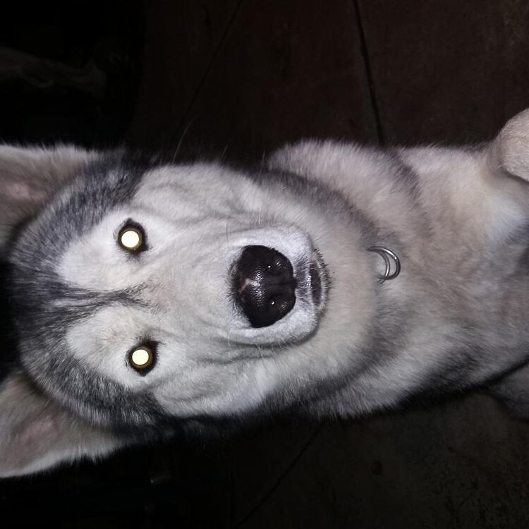 Foto de perfil de breeze