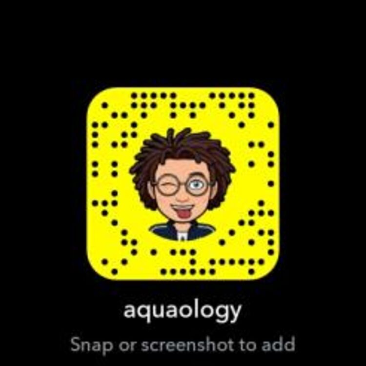 Aquaology